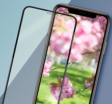 Load image into Gallery viewer, DM Premium Glass Film Screen Protector (iPhone XS)