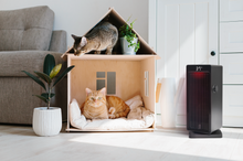 Load image into Gallery viewer, DM R30 2000W Fan Heater