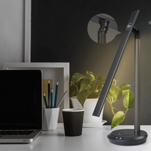 Load image into Gallery viewer, DM 10000mAh Dual Light Wireless LED Table Lamp