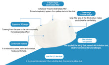 Load image into Gallery viewer, C&S Klaring KF94 Face Mask (50pcs)