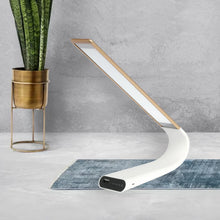 Load image into Gallery viewer, DM LED50 Eye Protection Lamp
