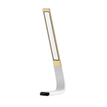 Load image into Gallery viewer, (New) DM LED Lamp Plus+ &amp; LED Lamp Stand
